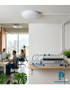 Access Point